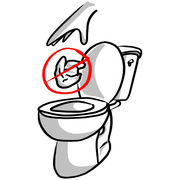 Les lingettes jetables sont jetables dans les toilettes? Faux
