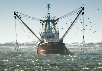 La pêche durable reste à quai ! #OnVeutPlusDuChalut