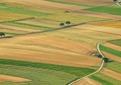 Affichage environnemental  : L’Ecoscore risque de promouvoir l’agriculture intensive
