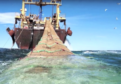 Ressources marines – La pêche française doit encore s’améliorer