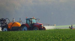 Trafic de pesticides – Les auteurs condamnés à de lourdes amendes