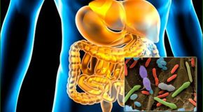 Additif alimentaire E466 – Des effets néfastes sur le microbiote