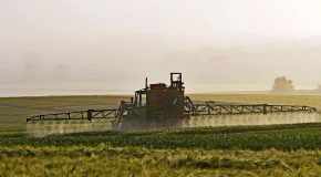 Pesticides – Le combat se judiciarise