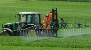 Une loi agricole controversée menace notre santé et notre environnement