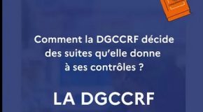 DDPP – contribution juillet- août 2025