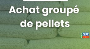 Achat groupé de pellets 2025 : l’UFC-Que Choisir relance son opération pour réduire la facture chauffage