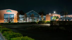 Enquête : Le jardinage responsable